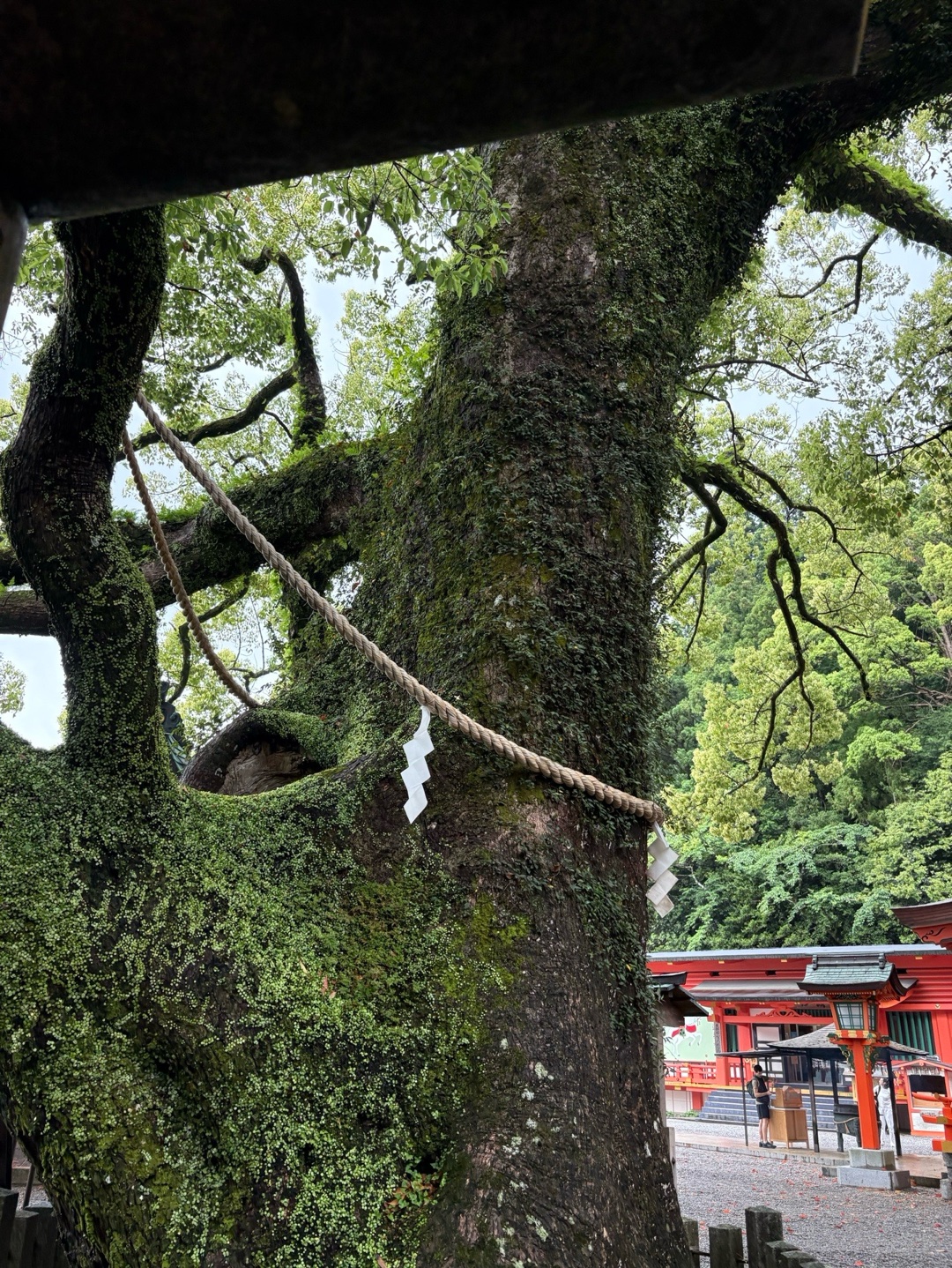 熊野那智大社 1