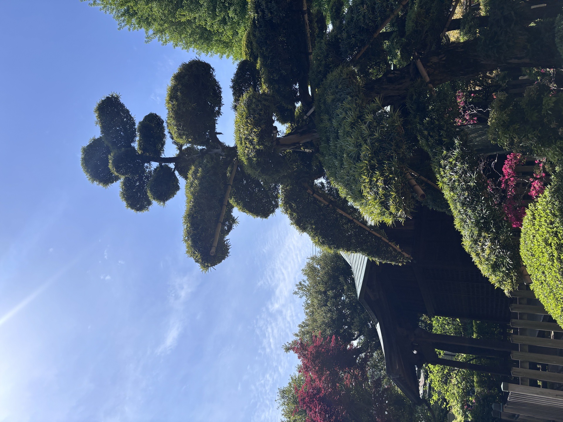 静勝寺 7