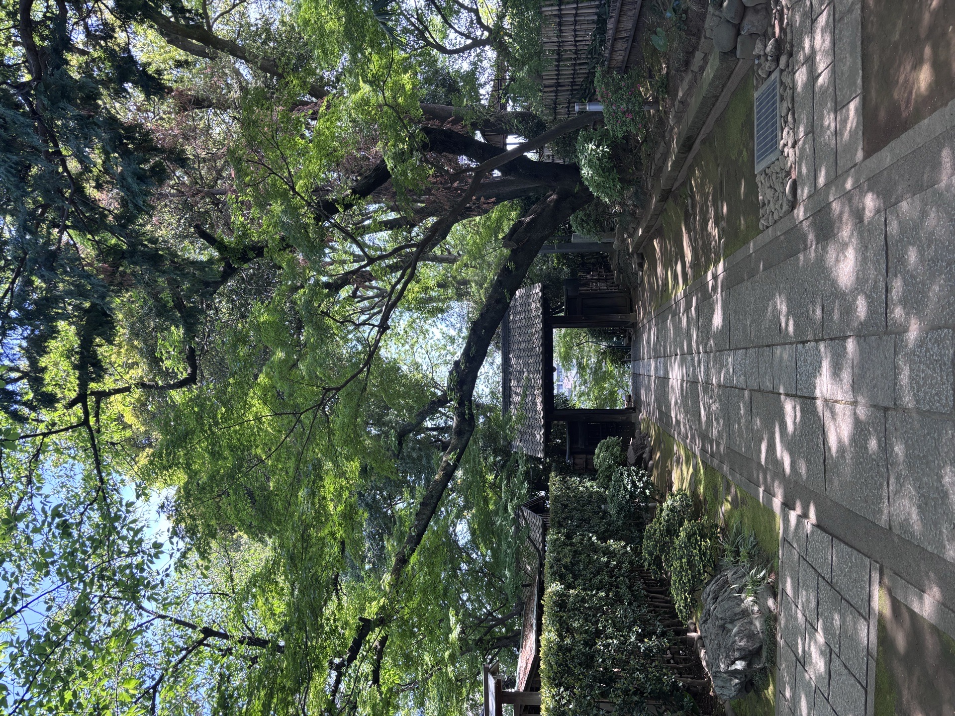 静勝寺 8