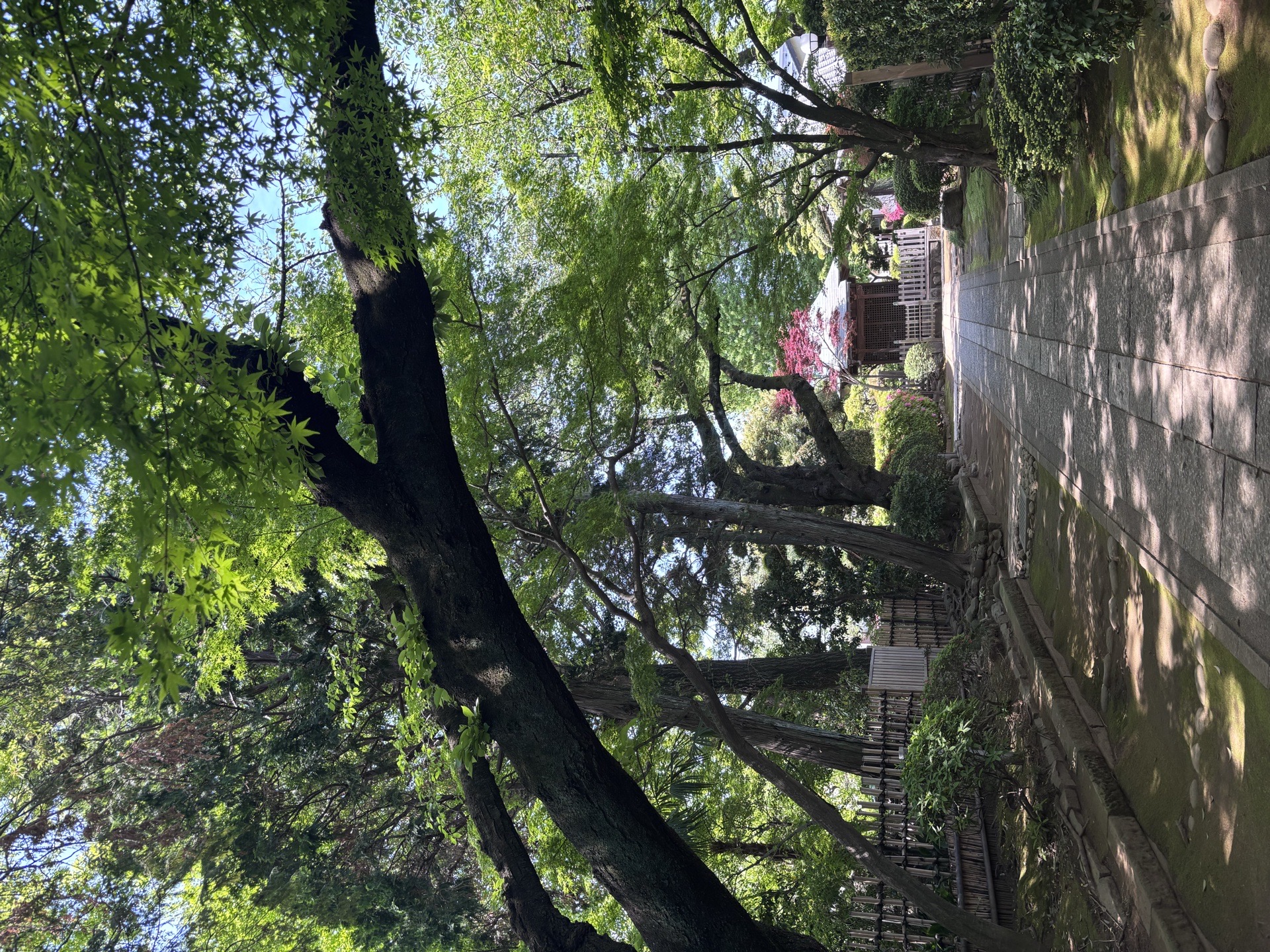 静勝寺 9