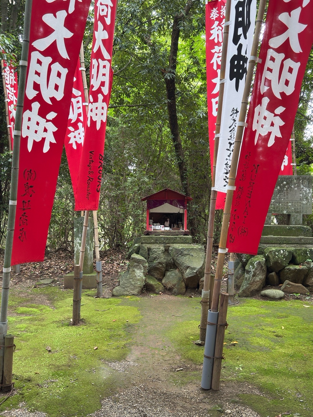 菊池神社 3