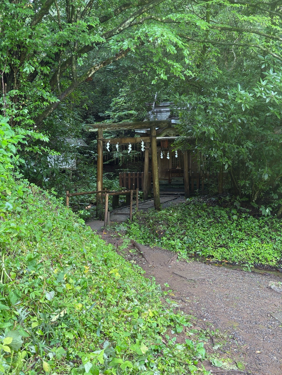 幣立神宮(幣立神社) 1