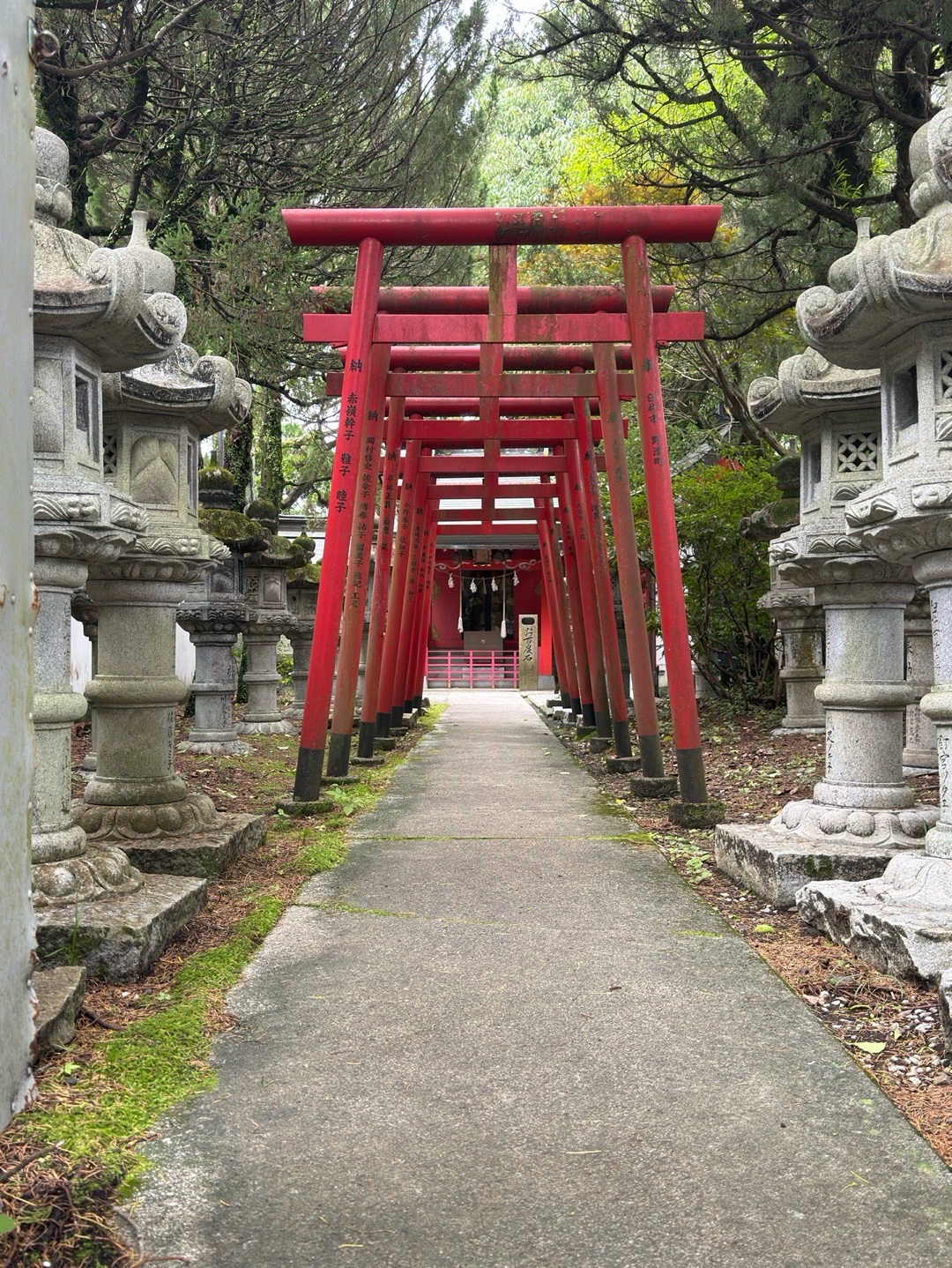 扇森稲荷神社 5