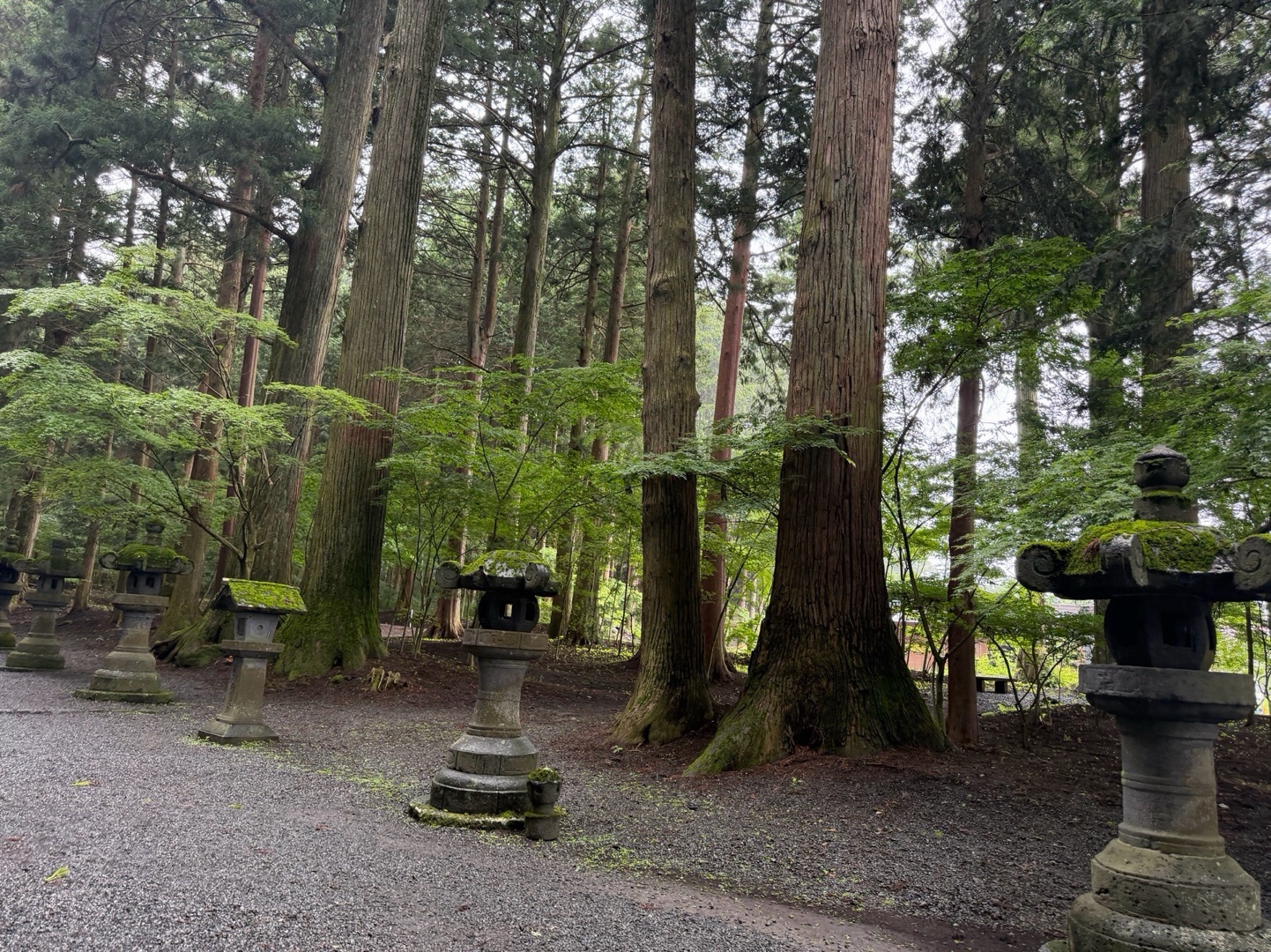 北口本宮冨士浅間神社 2