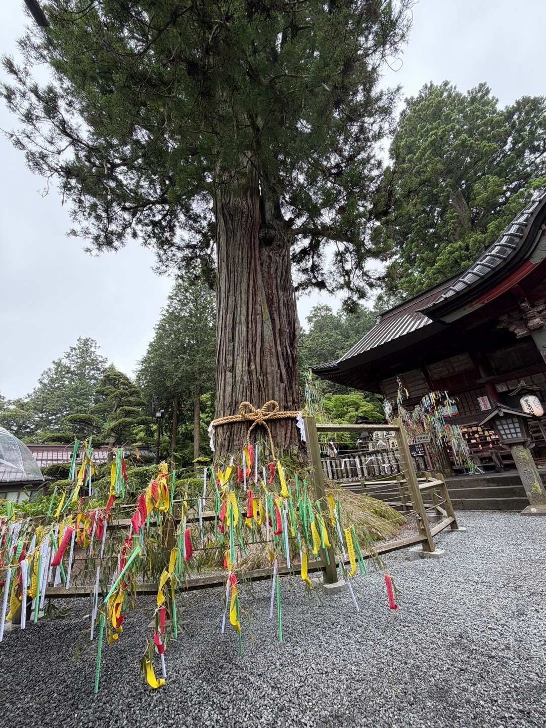 北口本宮冨士浅間神社 10